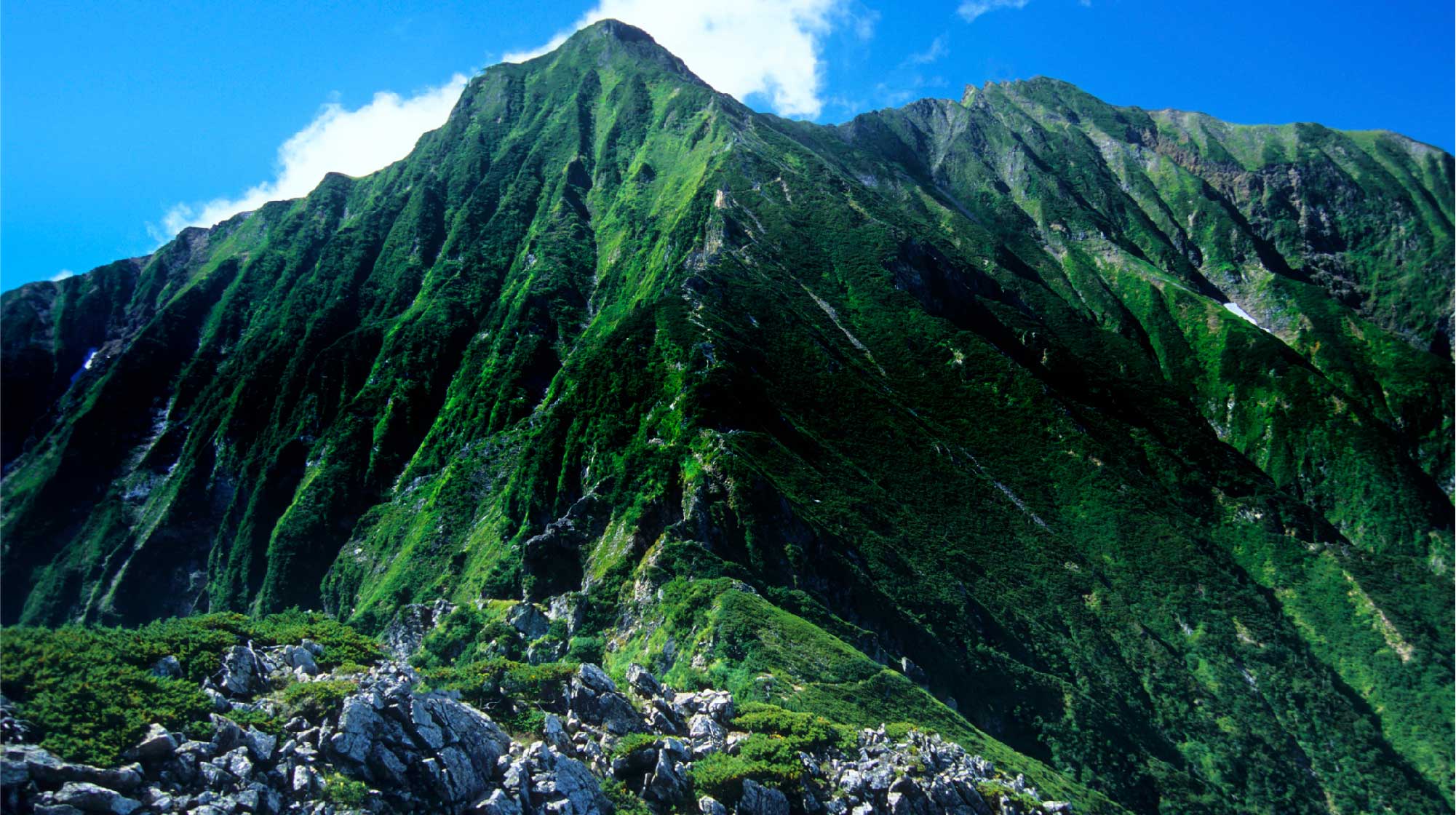 バンザンは、万山